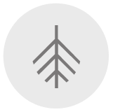 Independência e Rigor